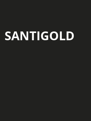 Santigold Poster