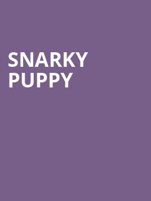 Snarky Puppy, Roseland Theater, Portland