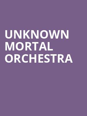 Unknown Mortal Orchestra Poster