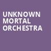 Unknown Mortal Orchestra, Mcmenamins Crystal Ballroom, Portland