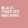 Black Tiger Sex Machine, The North Warehouse, Portland