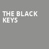 The Black Keys, Moda Center, Portland